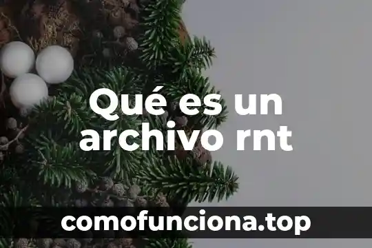 Que es transformación de archivo 8 Qué es un archivo rnt