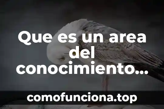 Que es conocimiento egocentrico 5 Que es un area del conocimiento pedagogico general