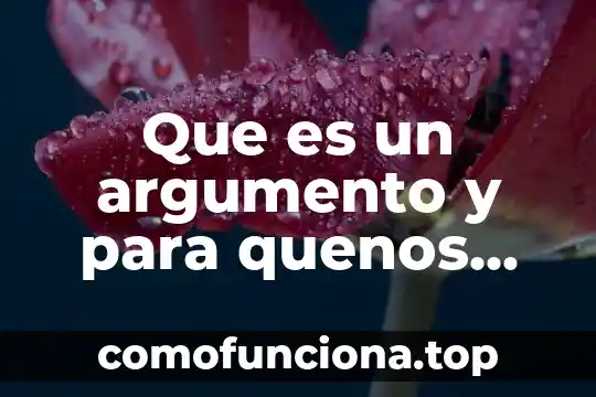 Que es un contrato de operación 6 Que es un argumento y para quenos sirve