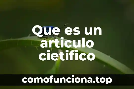 Qué es una macromolecula artículo 8 Que es un articulo cietifico