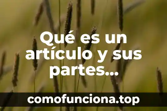 Que es una opinion en un articulo de divulgacion cientifica 3 Qué es un artículo y sus partes divulgación científica