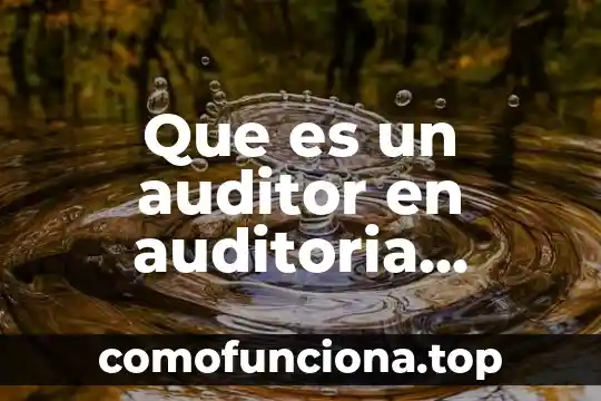 Qué es informática administrativa definición 5 Que es un auditor en auditoria administrativa