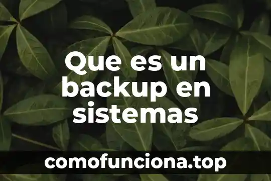 ¿Qué es huraño el significado? 7 Que es un backup en sistemas
