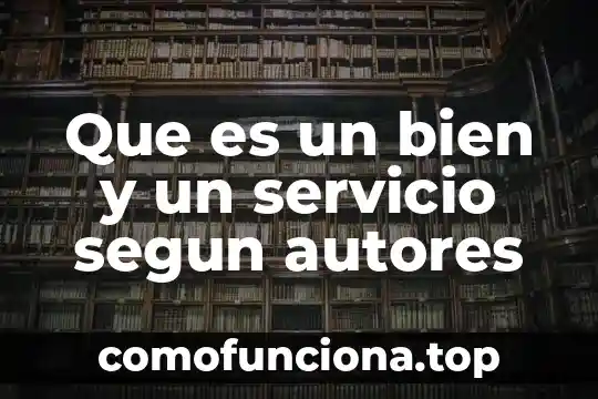 Que es un cargador de servicio 4 Que es un bien y un servicio segun autores
