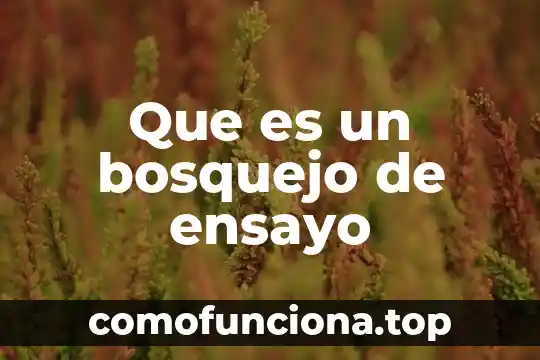 Qué es el bosquejo del método de investigación 4 Que es un bosquejo de ensayo