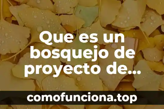 Qué es el bosquejo del método de investigación 7 Que es un bosquejo de proyecto de vida