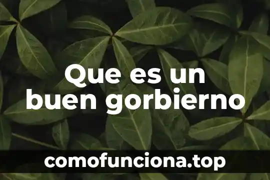 Informacion que es ser un buen estudiante 3 Que es un buen gorbierno