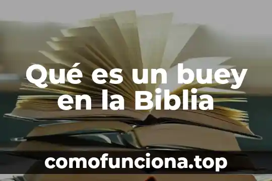 Que es manifestar segun la biblia 5 Qué es un buey en la Biblia