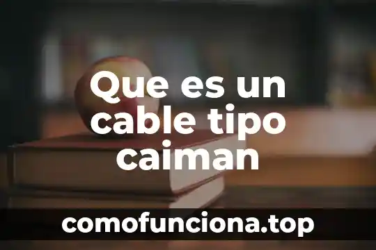 Qué es cable de red en una computadora 4 Que es un cable tipo caiman