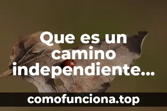 Que es un programa crakeado 3 Que es un camino independiente en un programa