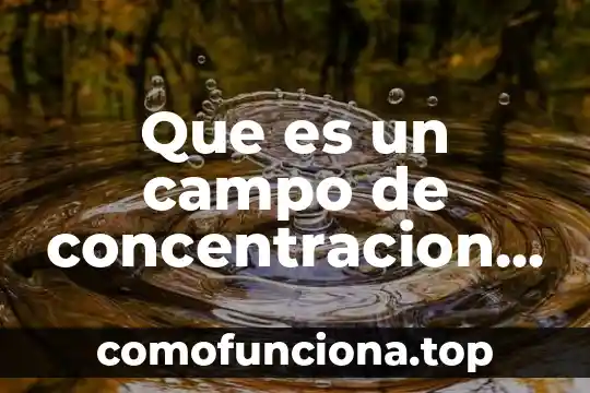 Qué es un subsolador en el campo 3 Que es un campo de concentracion o un centro clandestino