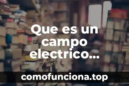 Qué es la firma dro y formato magnético 3 Que es un campo electrico magnetico