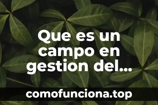 Que es un indicador de gestion y para que sirve 8 Que es un campo en gestion del conocimiento
