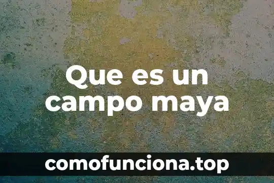 Que es campo magnectico 5 Que es un campo maya