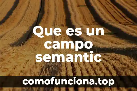 Qué es un subsolador en el campo 4 Que es un campo semantic