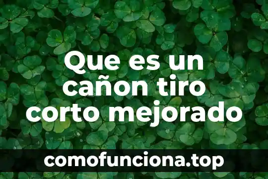 Que es ser canon en anime 8 Que es un cañon tiro corto mejorado
