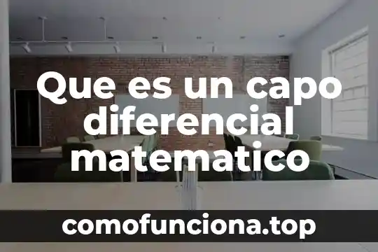 Que es variable en calculo diferencial 4 Que es un capo diferencial matematico