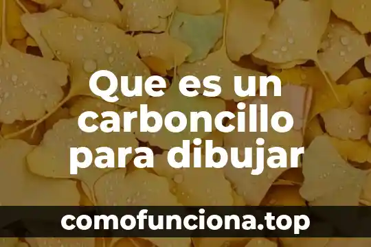 Que es la celula animal para dibujar 3 Que es un carboncillo para dibujar
