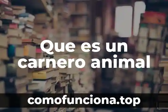 Que es mutilar a un animal 3 Que es un carnero animal