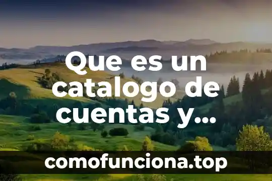 Catalogo de cuentas de una empresa industrial que es 6 Que es un catalogo de cuentas y como se integra