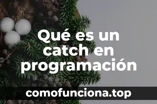Que es programacion en kreat solutions 5 Qué es un catch en programación