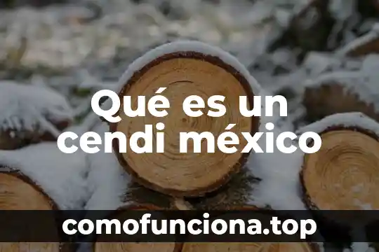 Que es la flor de jamaica en mexico 5 Qué es un cendi méxico