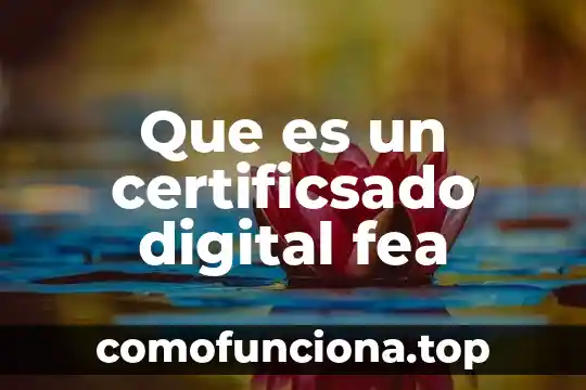 Que es ser trafficker digital sueldo 6 Que es un certificsado digital fea
