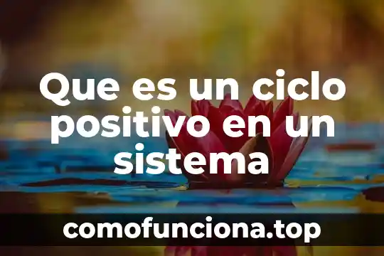 Que es el sistema inmunitario o inmunológico 5 Que es un ciclo positivo en un sistema