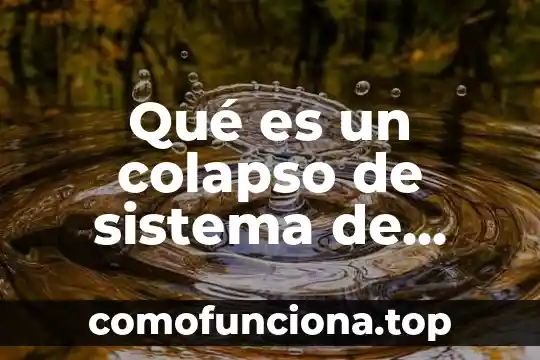Qué es el sistema urogenital animal 7 Qué es un colapso de sistema de absorción