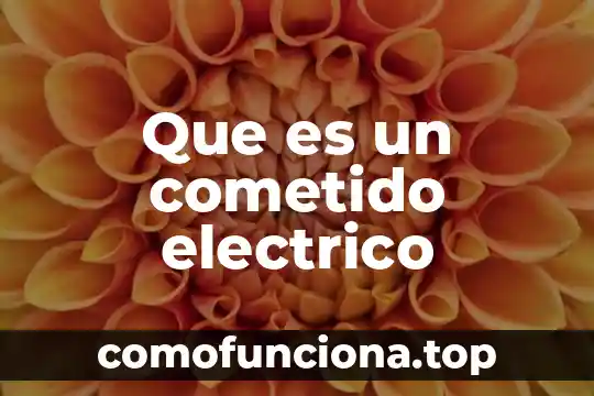 Que es la interaccion lógica 6 Que es un cometido electrico