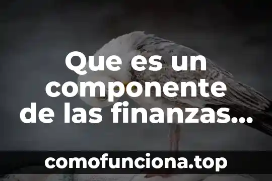 Que es una consultora de relaciones publicas 8 Que es un componente de las finanzas publicas