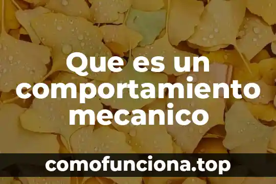 Que es un proceso mecanico en administracion 3 Que es un comportamiento mecanico