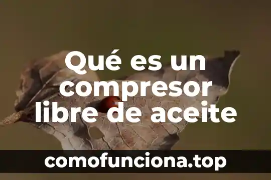 Altavoces tweeter que es 5 Qué es un compresor libre de aceite