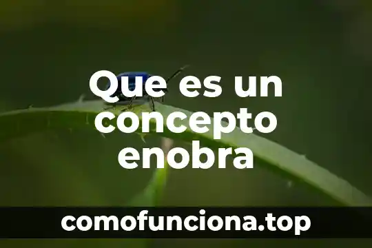 Que es la parsimonia concepto 4 Que es un concepto enobra