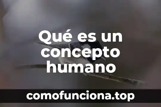 Que es farmacodinamia concepto 3 Qué es un concepto humano