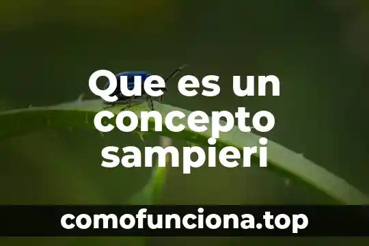 Que es el estado del conocimiento segun sampieri 8 Que es un concepto sampieri