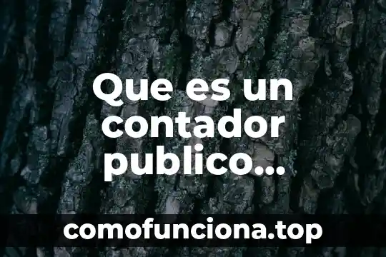 Que es una direccion como ente publico 4 Que es un contador publico definicion