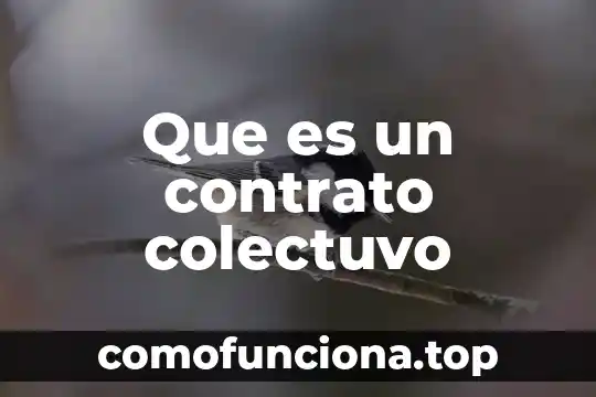Why que es 7 Que es un contrato colectuvo