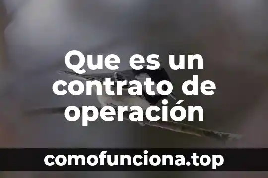 Que es un argumento y para quenos sirve 6 Que es un contrato de operación