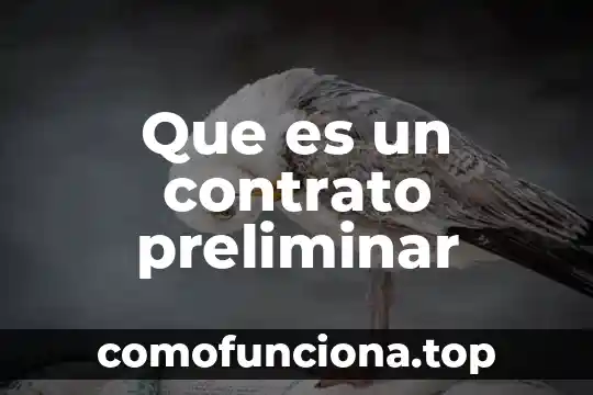 Qué es un diagnóstico preliminar en una investigación 7 Que es un contrato preliminar