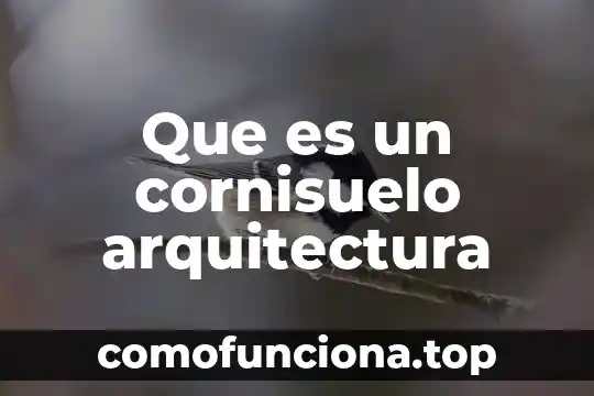 Que es arquitectura popularista 3 Que es un cornisuelo arquitectura