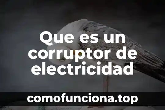 Concepto de la electricidad y que es 6 Que es un corruptor de electricidad