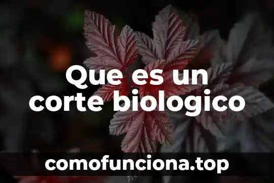 Que es un estudio de corte transversal 8 Que es un corte biologico