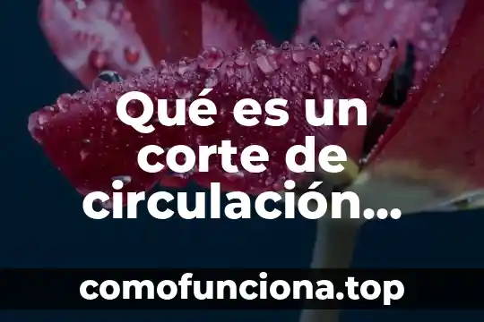 Que es y como funciona la circulacion mayor y menor 7 Qué es un corte de circulación tesis
