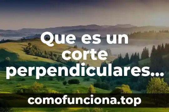 Que es un cuadrilatero matematicas 4 Que es un corte perpendiculares matematicas