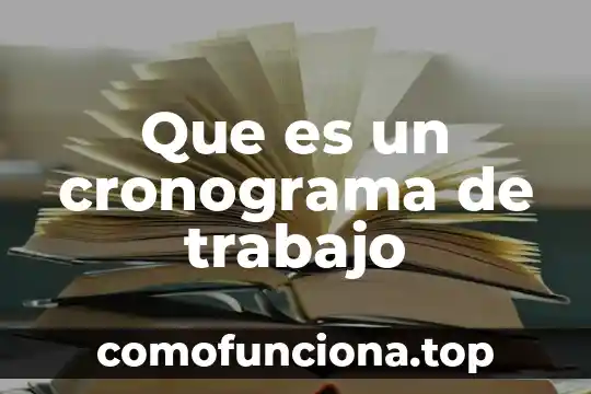 Qué es el corte internacional de la onu 6 Que es un cronograma de trabajo