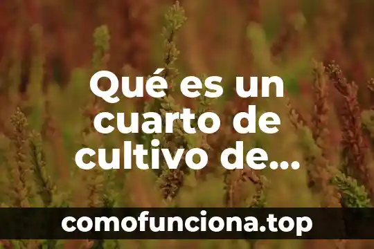 Que es la ilustracion historia cuarto grado 5 Qu茅 es un cuarto de cultivo de c茅lulas