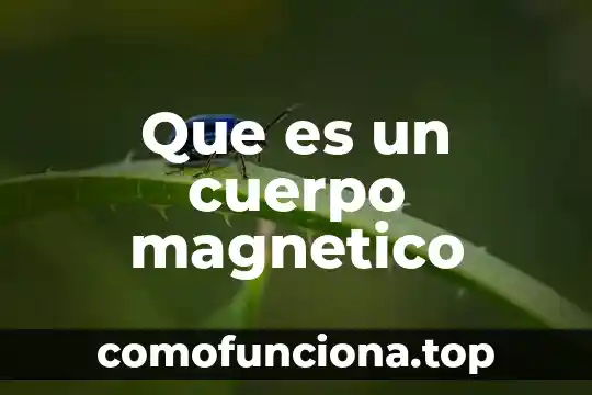 Qué es la firma dro y formato magnético 4 Que es un cuerpo magnetico