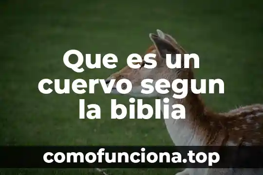 Que es ser entendido segun la biblia 5 Que es un cuervo segun la biblia