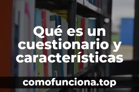 Que es de stijl concepto y caracteristicas 8 Qué es un cuestionario y características